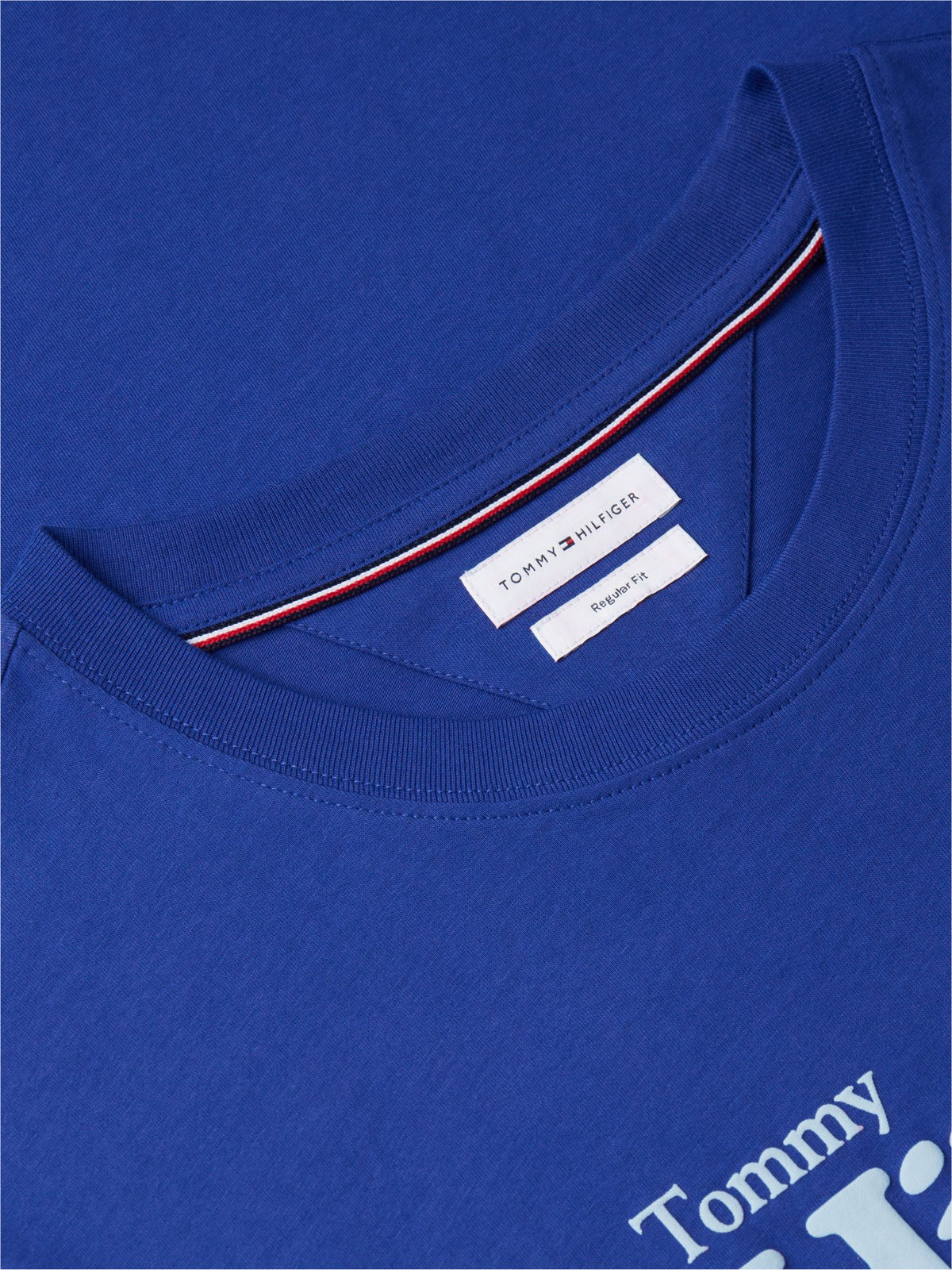 Tommy Hilfiger Nautical Hilfiger Logo T-Shirt