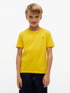 Primary Yellow